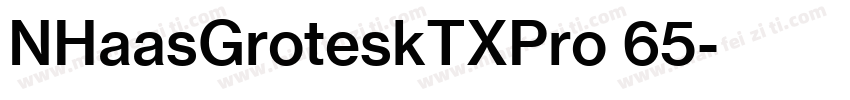 NHaasGroteskTXPro 65字体转换